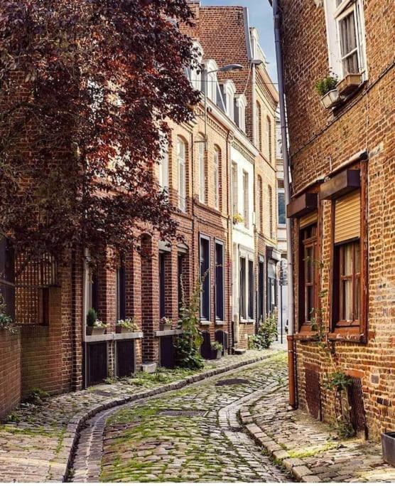 La Belle Treille By Concierge City Lille Extérieur photo